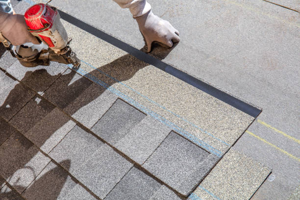 Best Roof Leak Repair  in Roxboro, NC